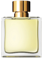 Personalized Perfume – ThePerfumebar